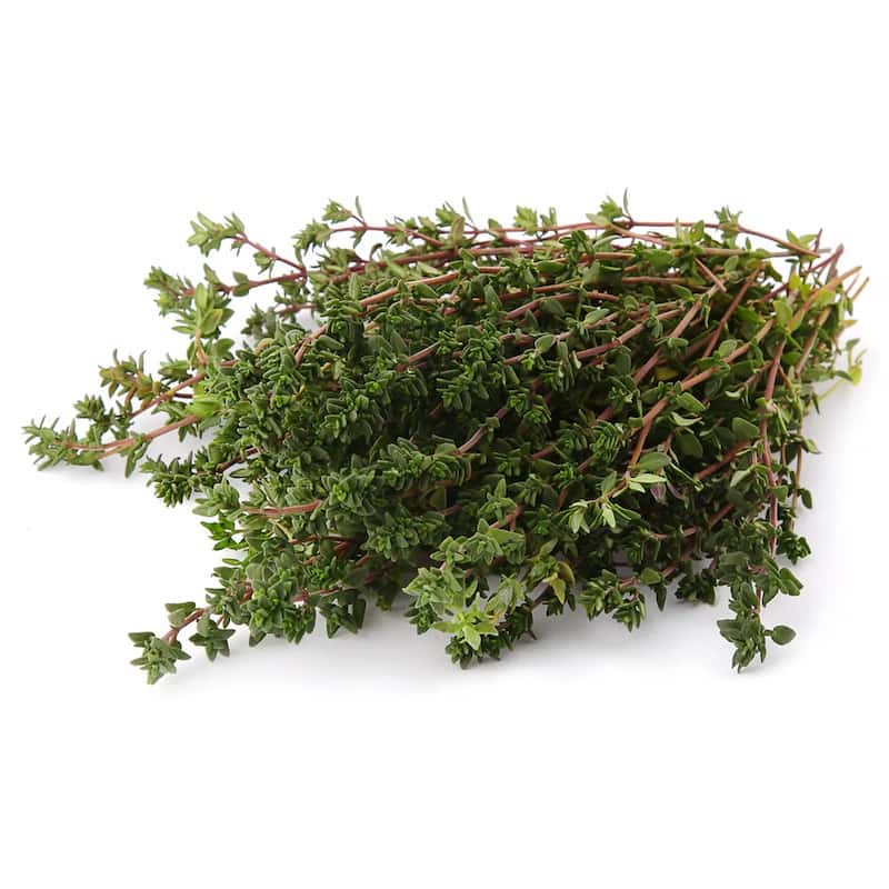 فروش آویشن برگ